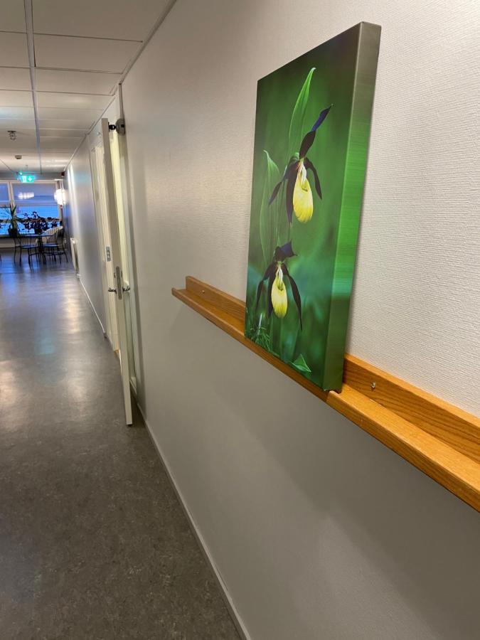 Broholm Bed&Breakfast Lidkoping Bagian luar foto