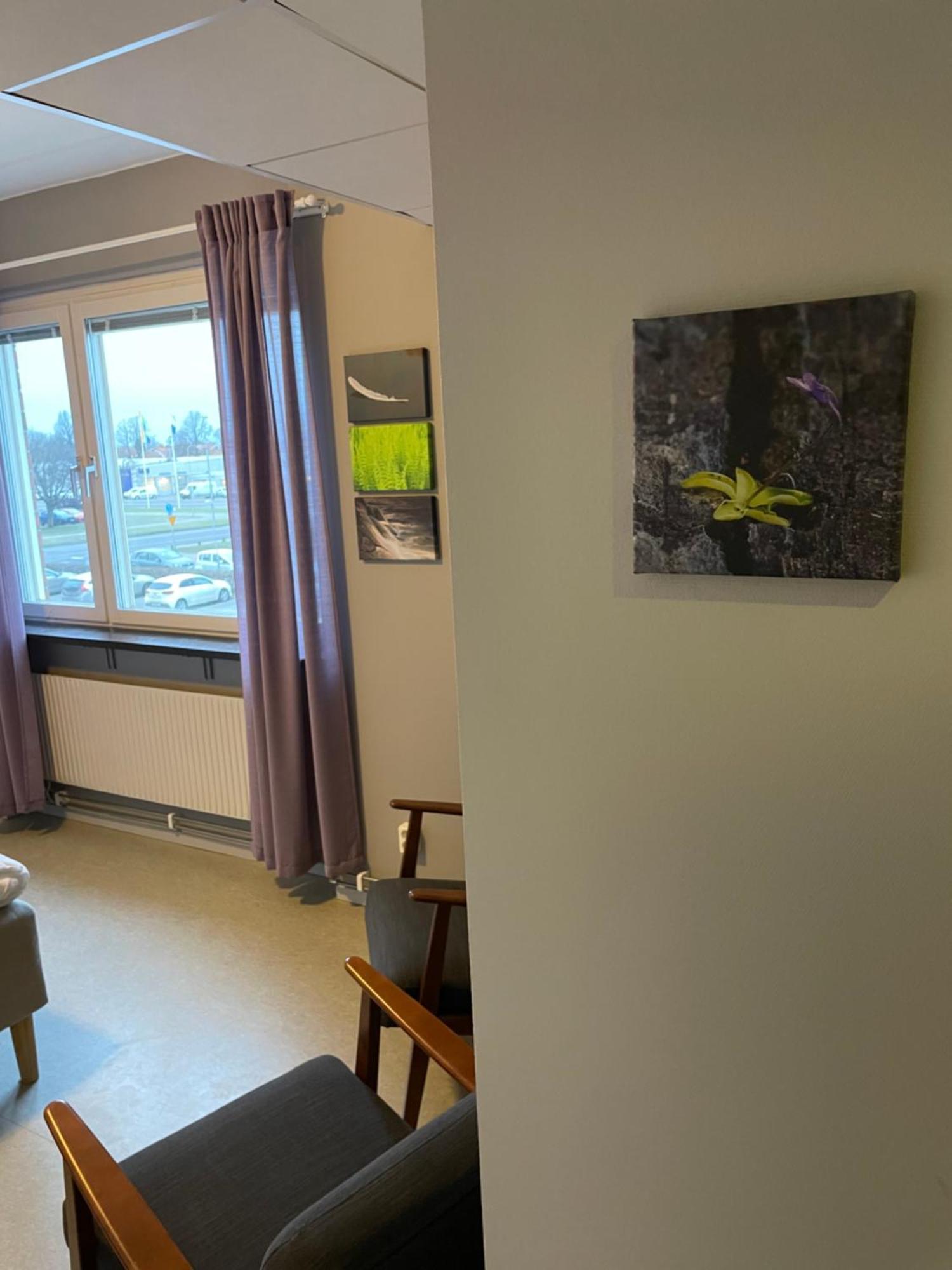 Broholm Bed&Breakfast Lidkoping Ruang foto